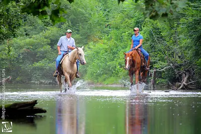 Dillard House Stables