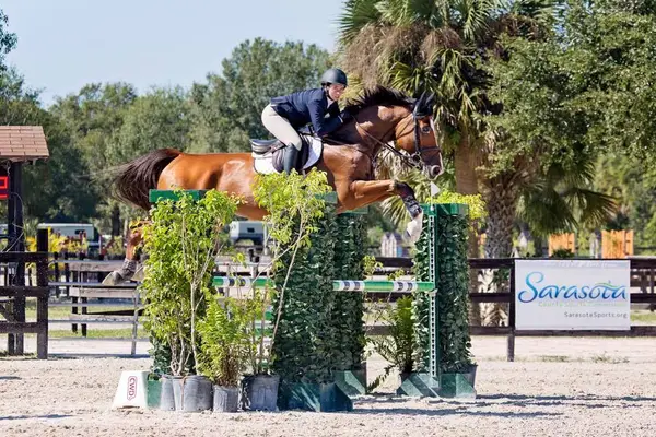 Distinctive Stables, photo 4