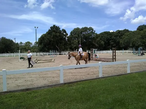 Distinctive Stables, photo 3