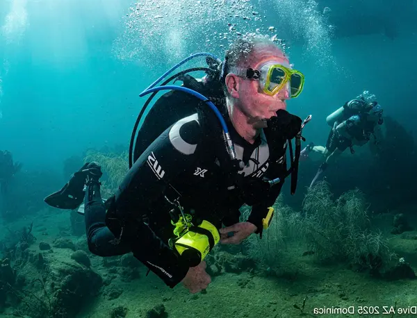 Dive Arizona