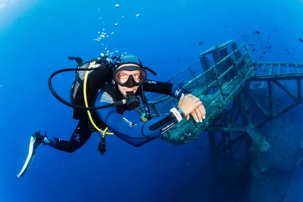 Dive Around Madeira
