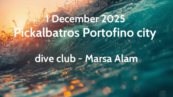 Dive club