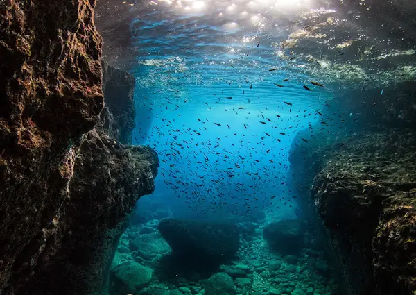 Dive Gozo