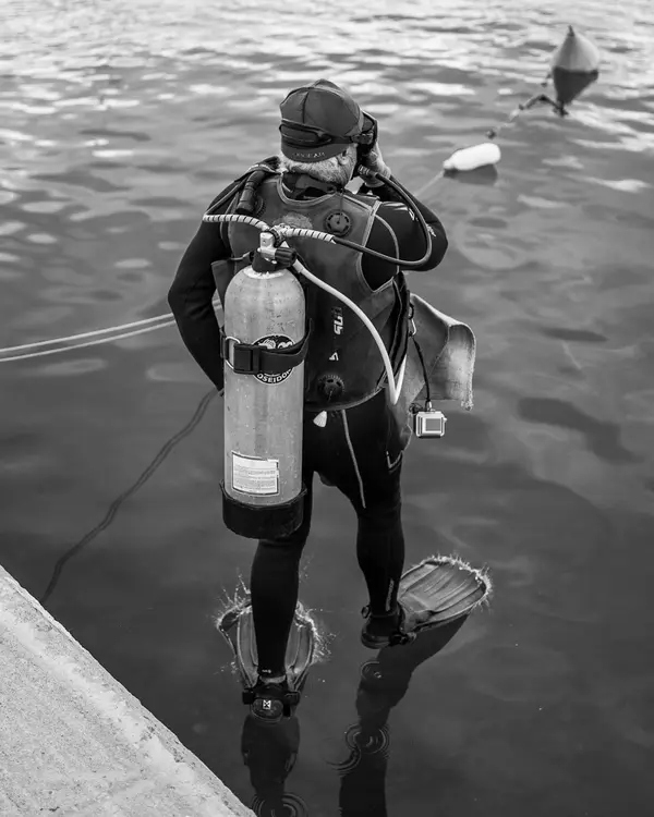 Dive in Action