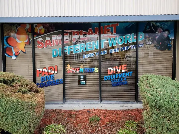 Dive N Trips