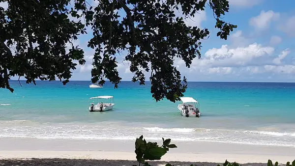 Dive Seychelles Underwater Centre