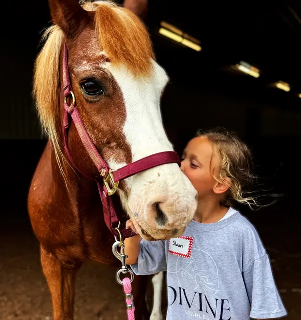Divine Equestrian Academy