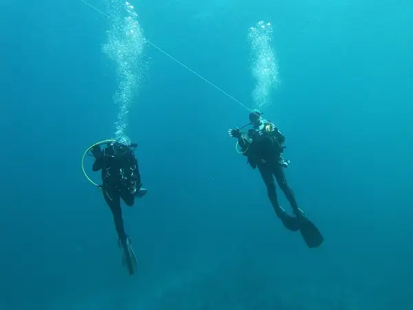 Diving with Doug