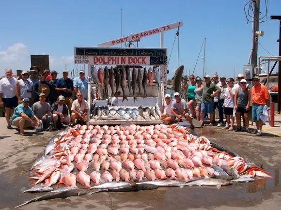 Dolphin Dock Inc., Port Aransas, TX