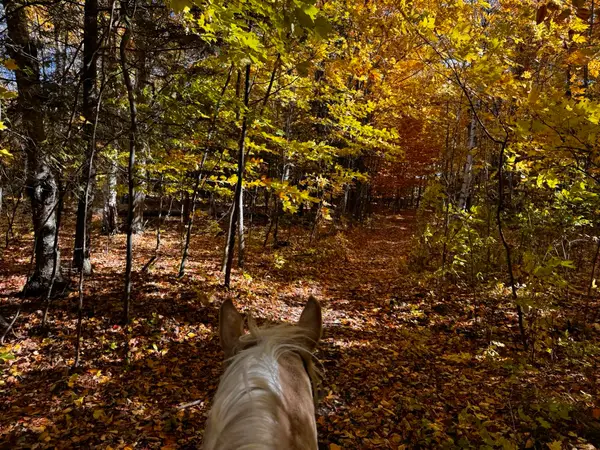 Door County Horsemanship LLC