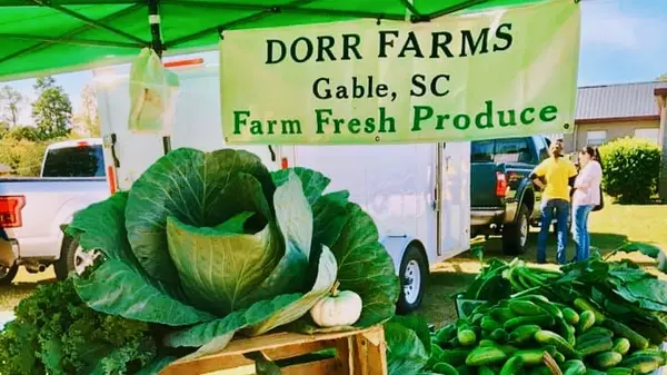 Dorr Farms, Gable, SC