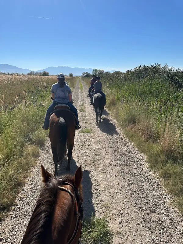 Double Diamond Hill Ranch
