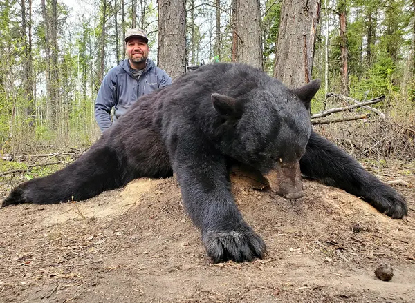 Double Diamond Wilderness Hunts Ltd., photo 1