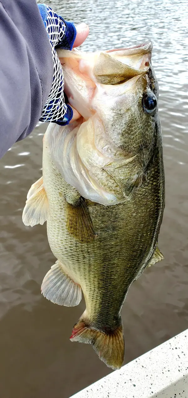 Fisherman's One Stop, Alba, TX