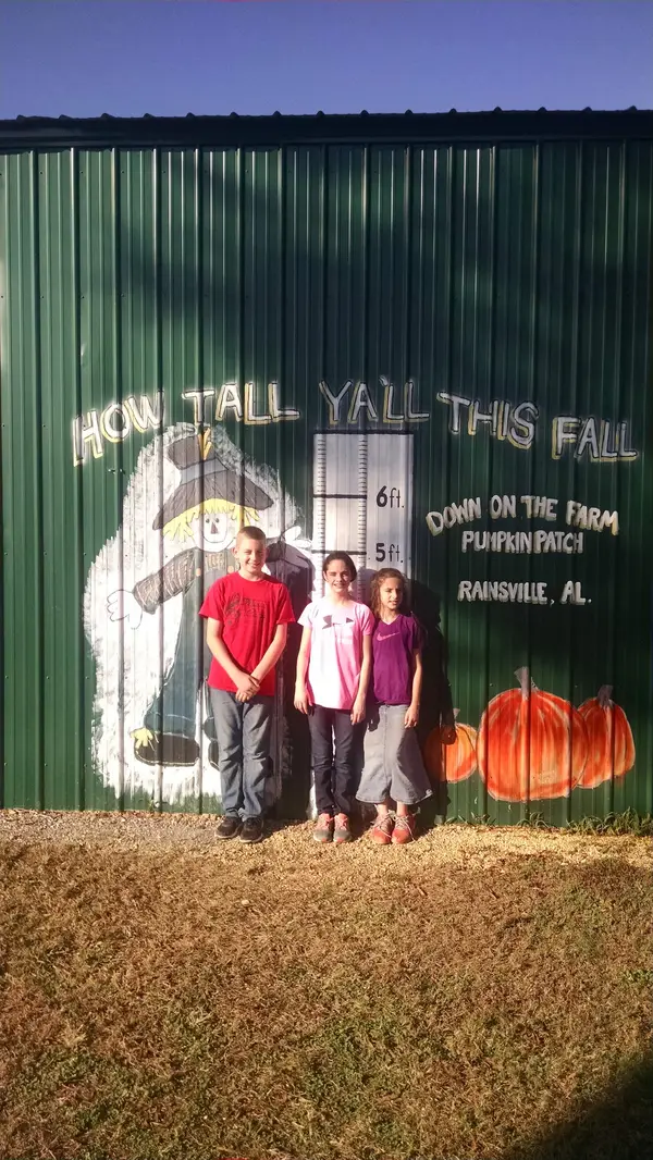 Down On the Farm, Rainsville, AL