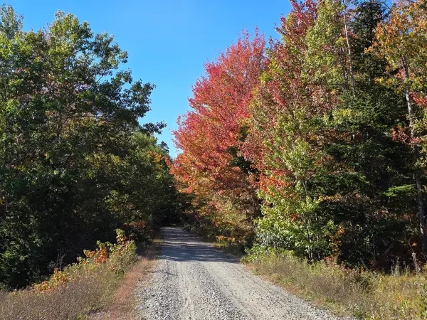 Downeast Sunrise Trail
