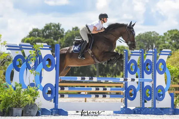 Dreamstead Equestrian, photo 2