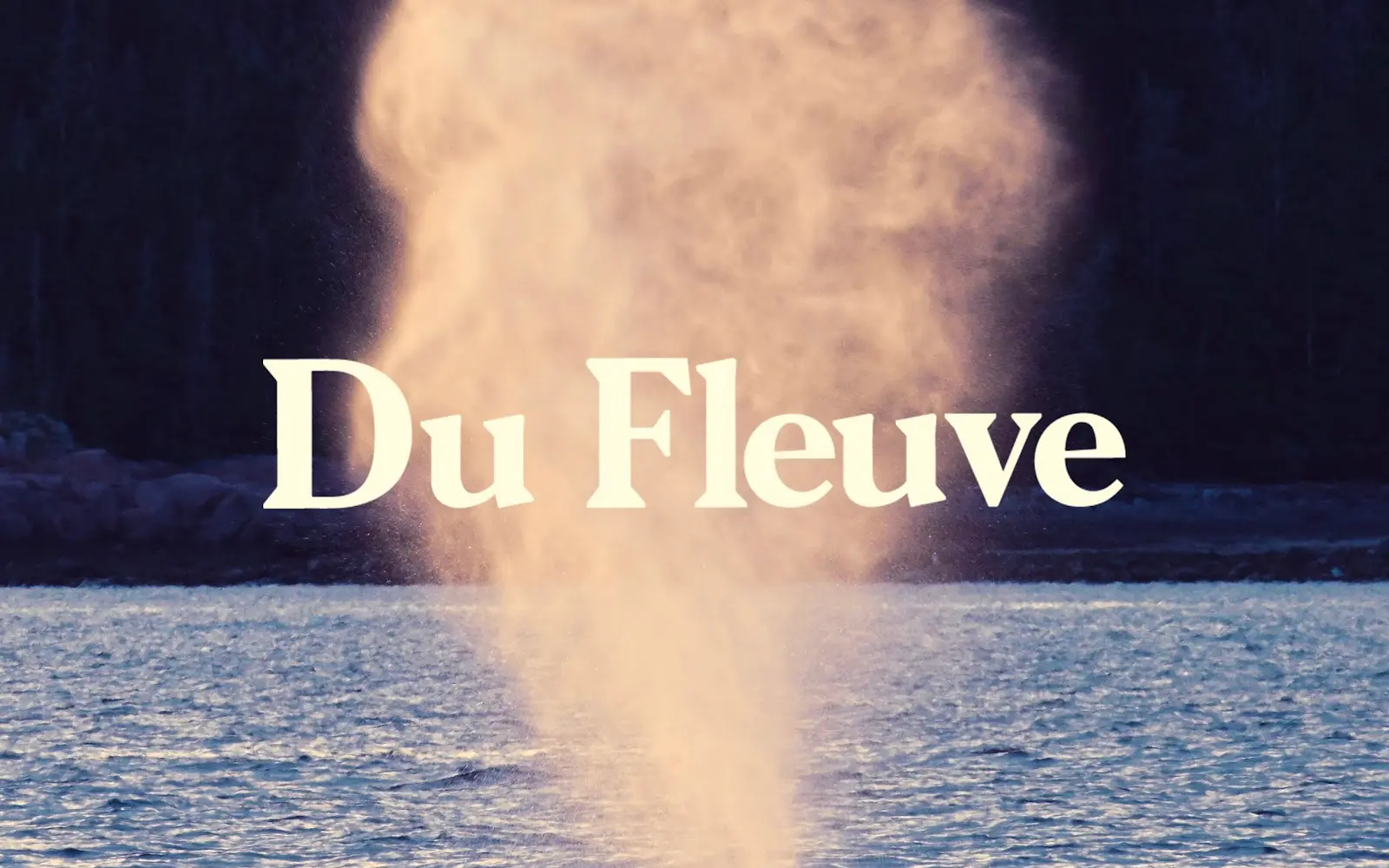 Du Fleuve, Croisières aux baleines