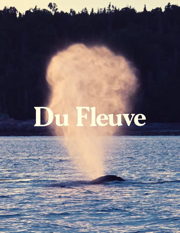 Du Fleuve, Croisières aux baleines