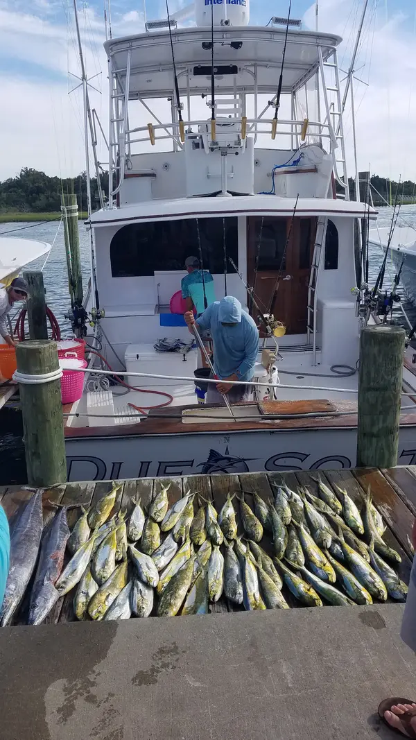 Due South Sport Fishing, Morehead City, NC