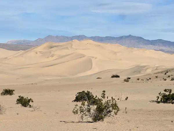 Dumont Dunes