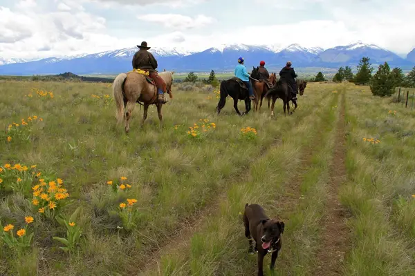 Dunrovin Ranch