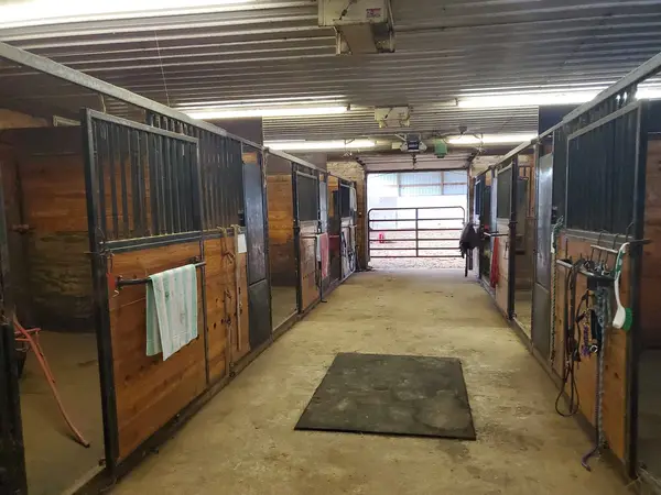 Dusty Hills Riding Academy and Stables