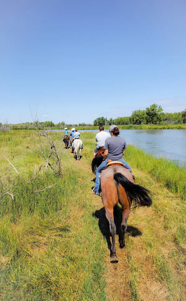 Dusty Trails, LLC, North Platte, NE