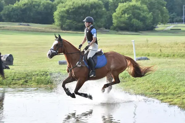 Duzan Riding Academy