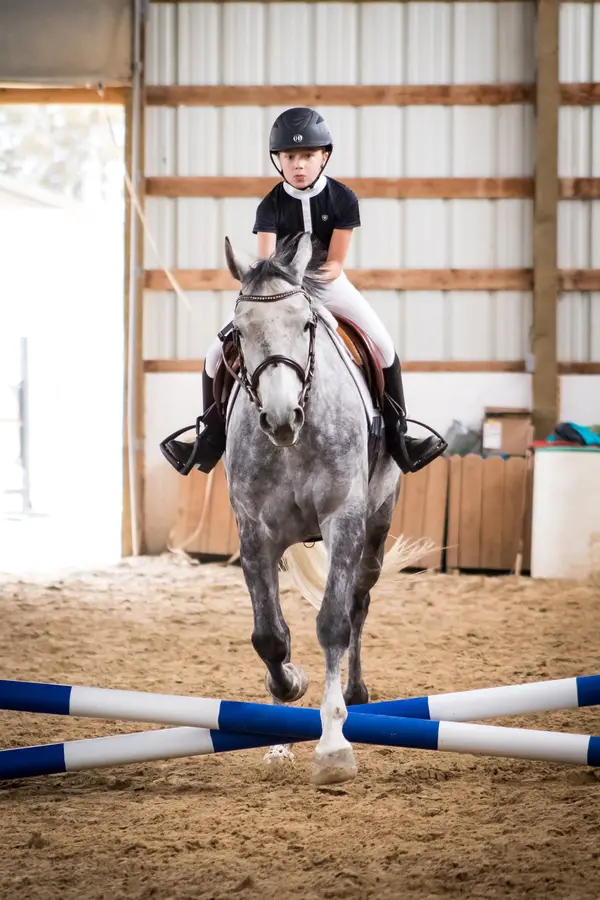 Dynamic Equestrian