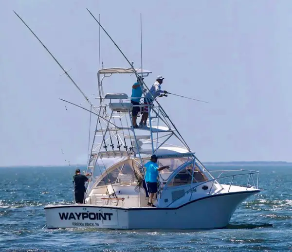 E-FishinSea Sport Fishing Charters Virginia Beach, Virginia Beach, VA