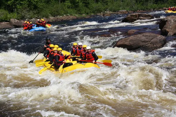 Équitation et Rafting Jacques-Cartier, photo 1