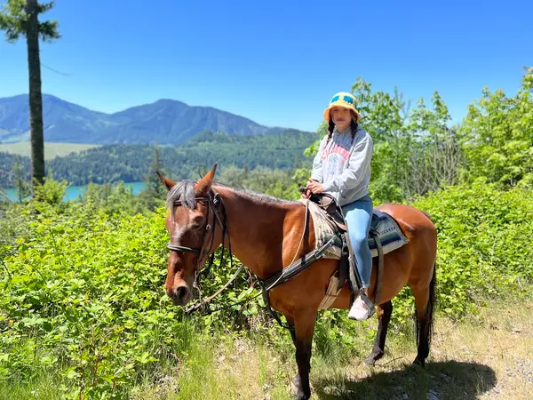 E Z Times Horse Rides