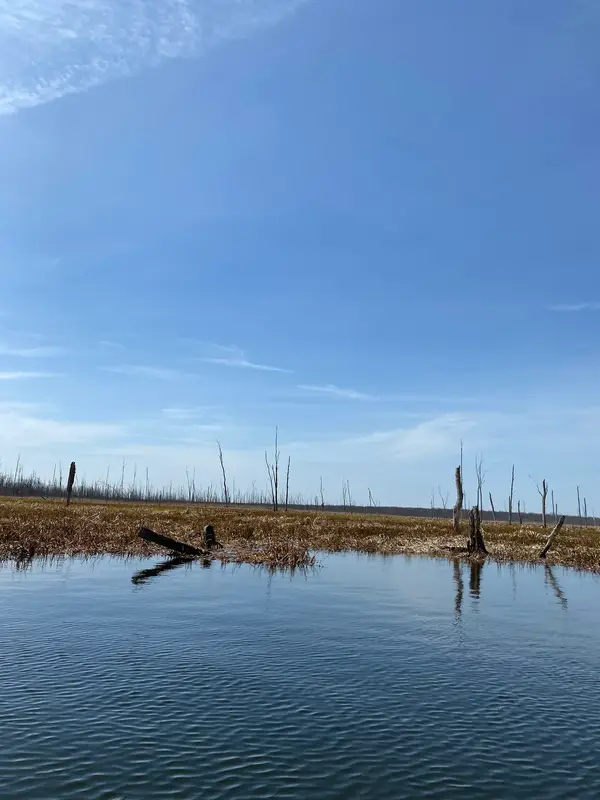 Eagle Adventures, photo 1