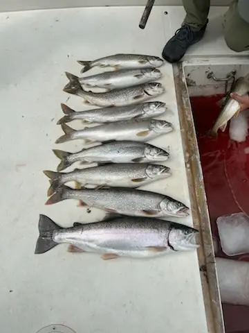 Eagle Rock Charters