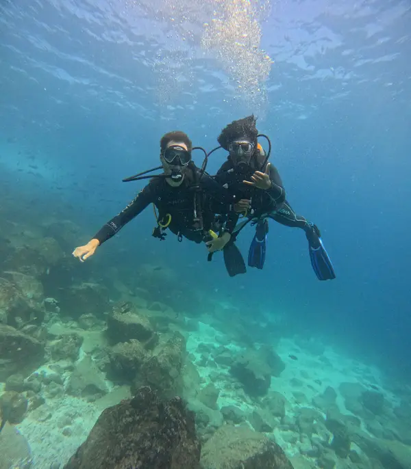 Eagleray Galapagos Diving