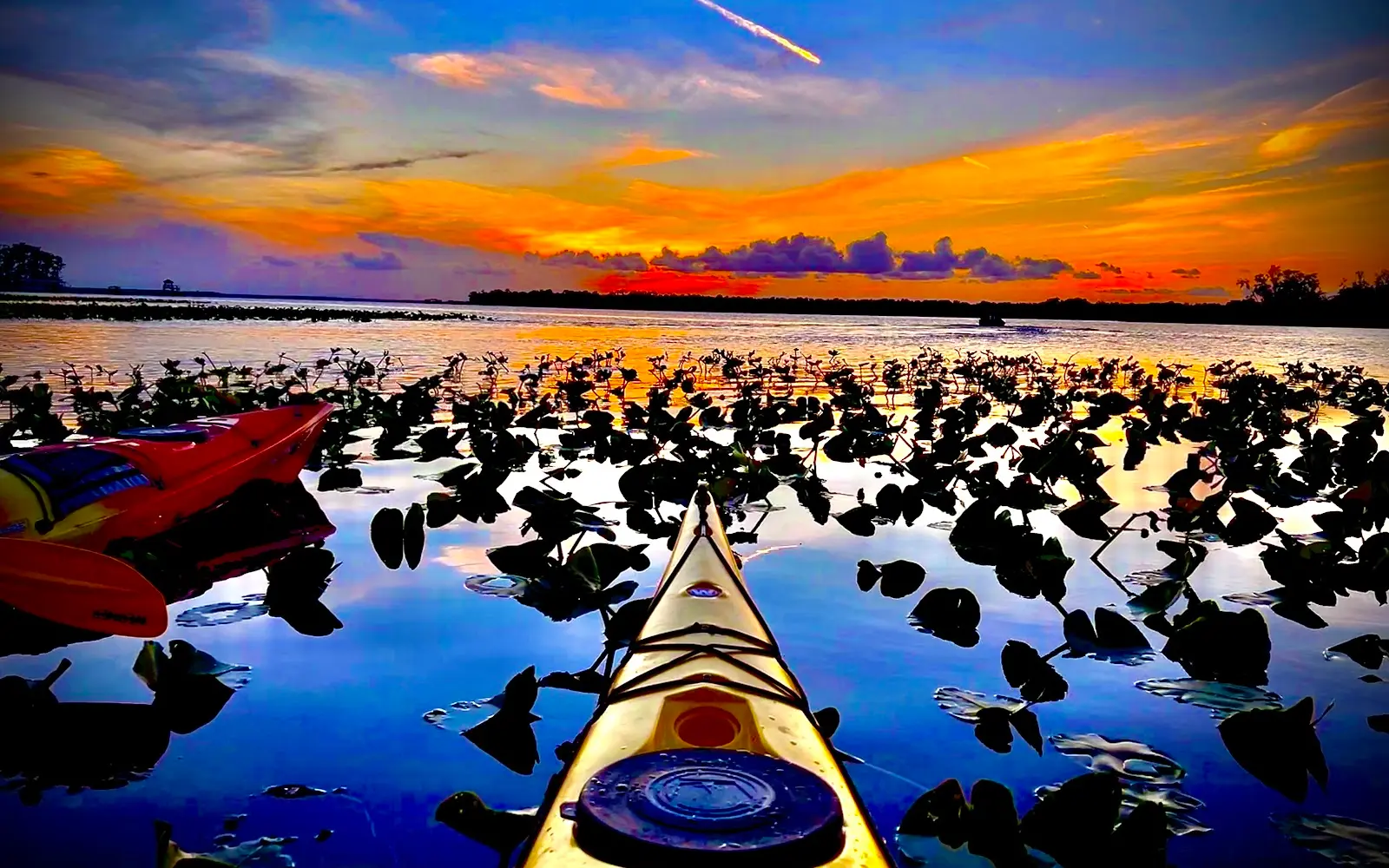 Earth Kinship Kayak Tours & Nature Education