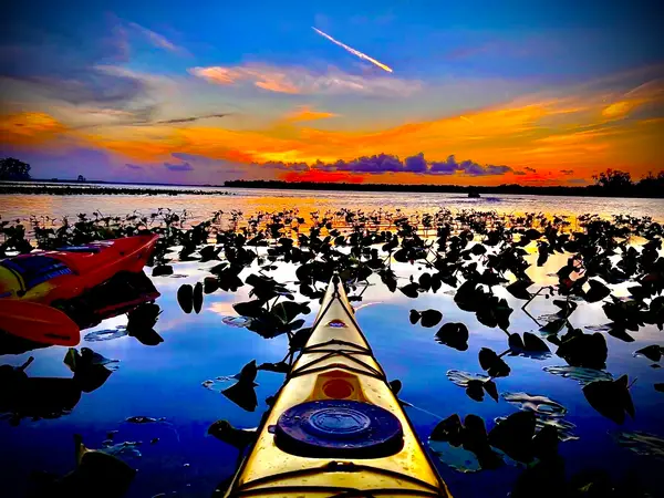 Earth Kinship Kayak Tours & Nature Education