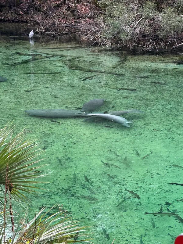 Earth Kinship Kayak Tours & Nature Education, photo 3