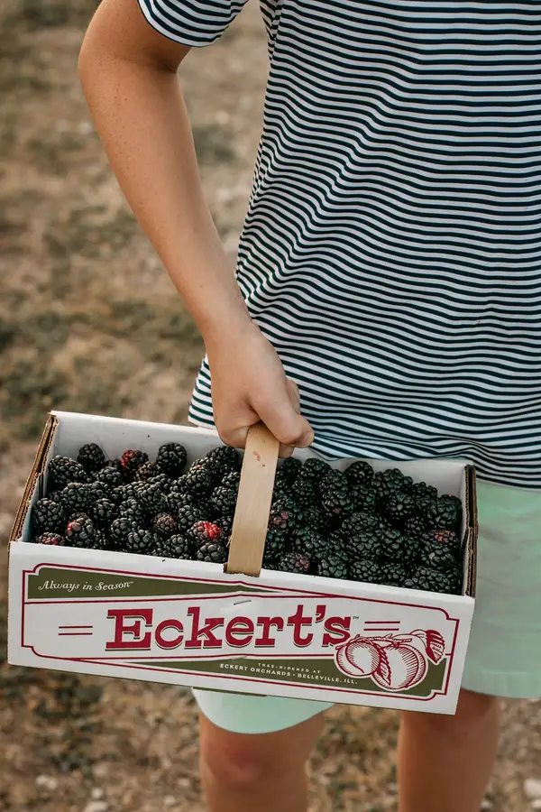 Eckert's Pick Your Own Belleville Farm, Belleville, IL
