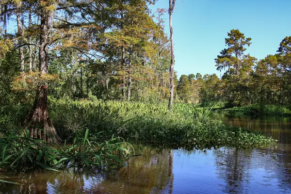 ECO-TOURS OF SOUTH MISSISSIPPI, Gautier, MS