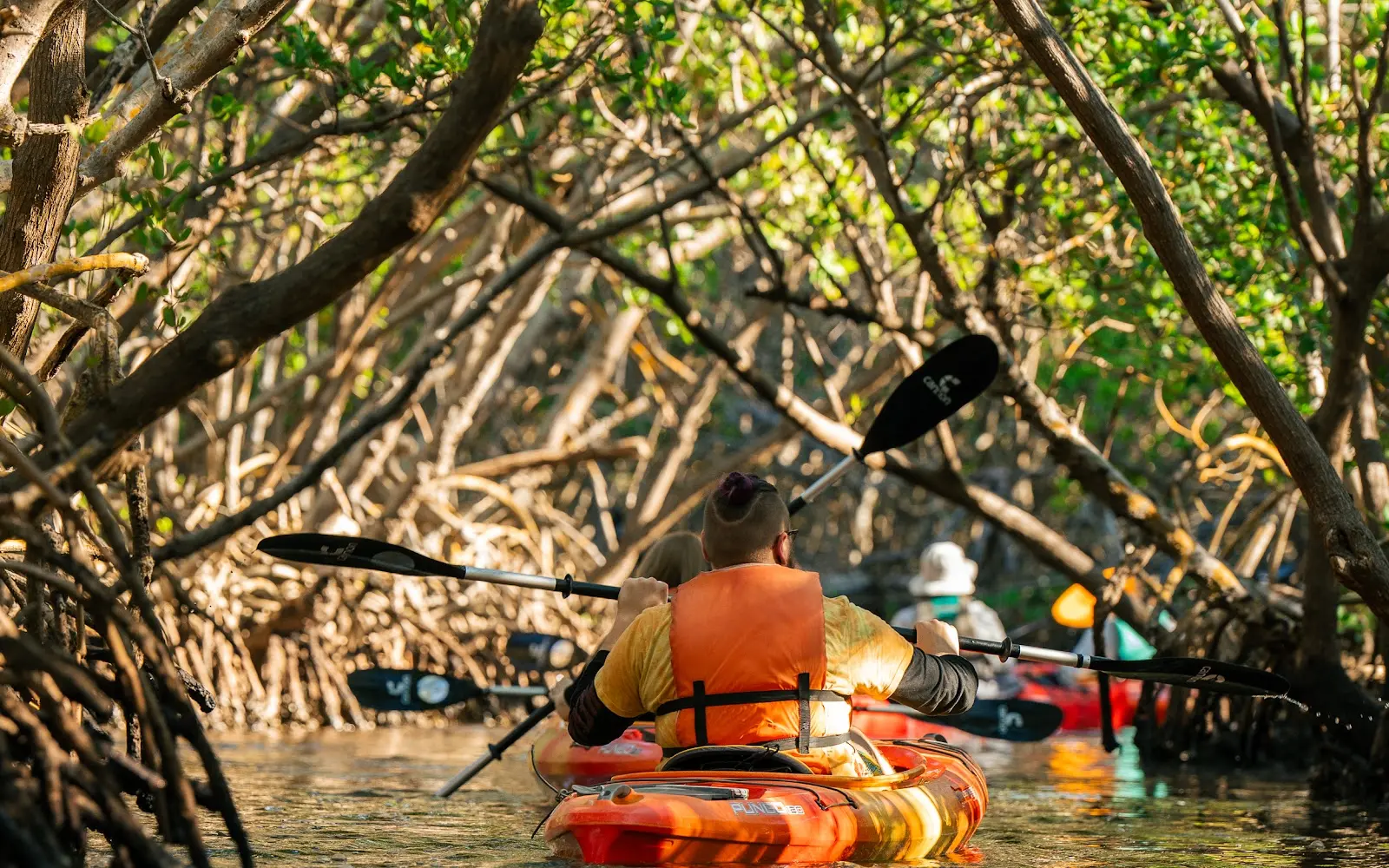 ECOmersion Kayak & SUP Rentals