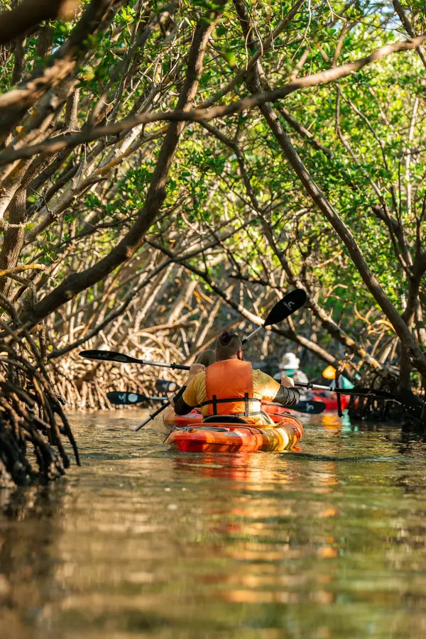 ECOmersion Kayak & SUP Rentals