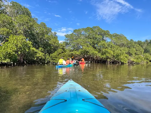 ECOmersion Kayak & SUP Rentals, photo 1
