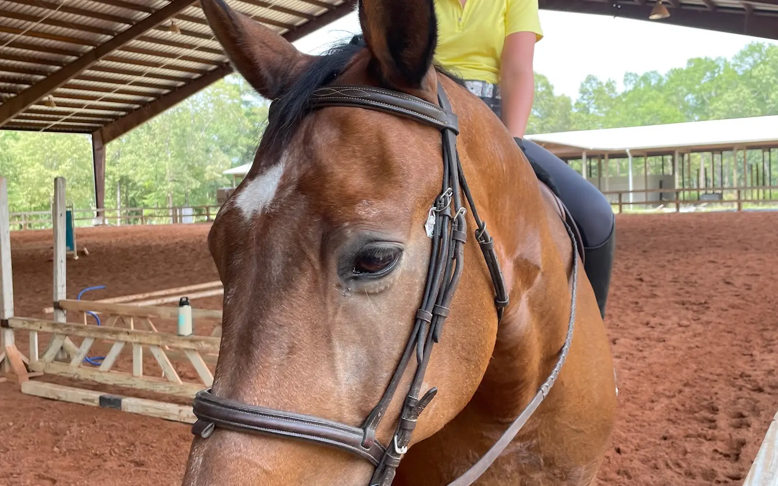 Edgebrook Equestrian Center