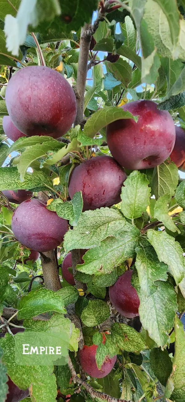 Ela Family Farms, Hotchkiss, CO