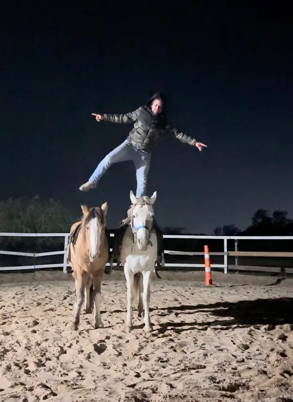 Elegancy Horse Riding academy, photo 2