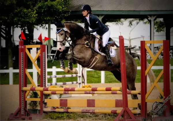 Elevate Equestrian at Ridgewood Stables