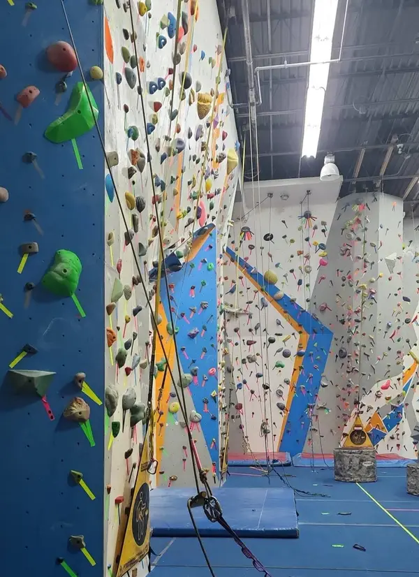 Elite Climbing, LLC