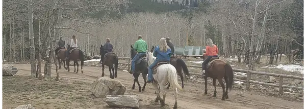 Elkhorn Stables